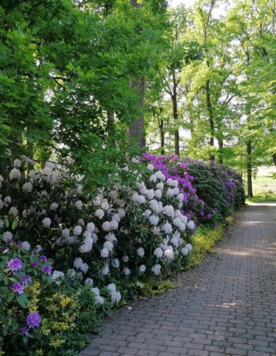Home - Beekenhof