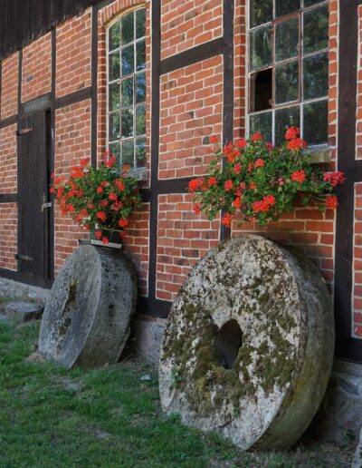 Home - Beekenhof